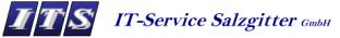 ITS IT-Service Salzgitter GmbH